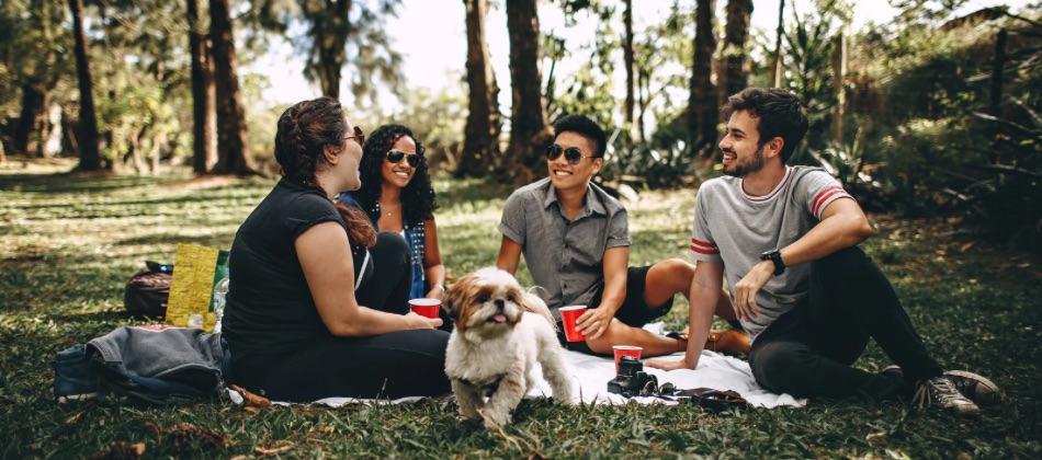 Prepárate para un Picnic en el Oriente Antipqueño