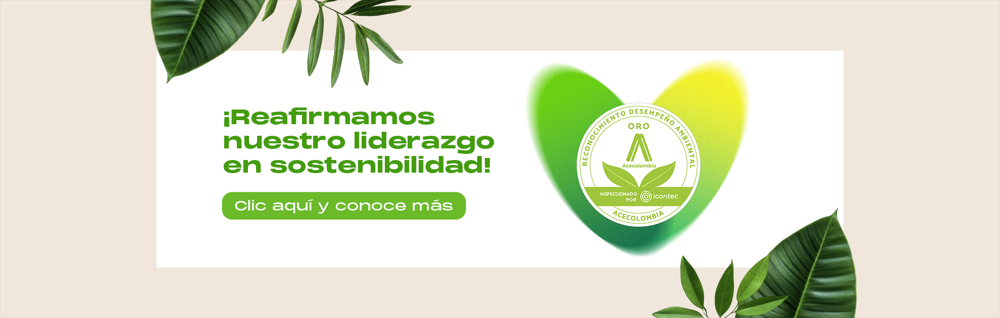 RECONOCIMIENTO AMBIENTAL D