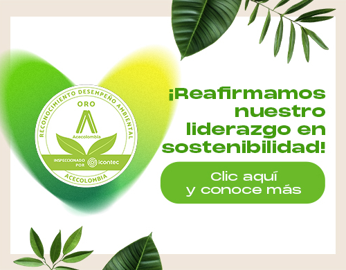 RECONOCIMIENTO AMBIENTAL N