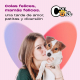 COLAS FELICES