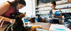 Servicios exclusivos para tu mascota en San Nicolás