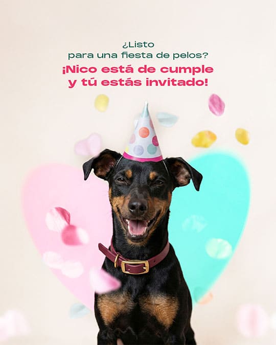 FIESTA CUMPLEAÑOS NICO