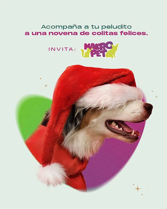 NOVENAS DE NAVIDAD PARA MASCOTAS